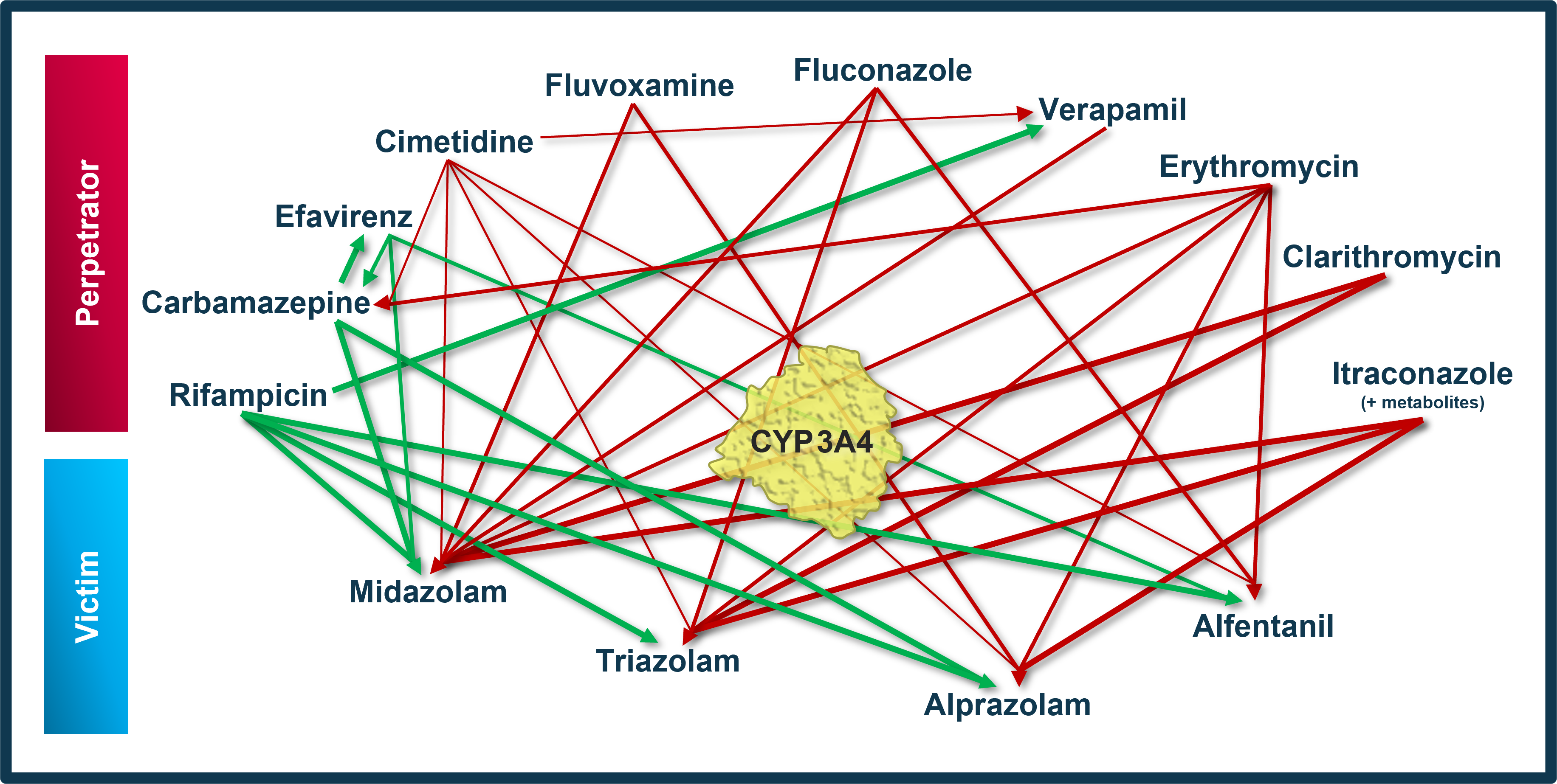DDI CYP3A4 network